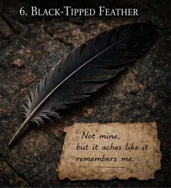 Black-Tipped Feather